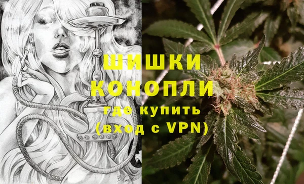 мяу мяу мука Инсар