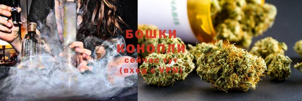 мяу мяу мука Инсар