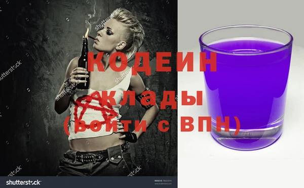 мяу мяу мука Инсар