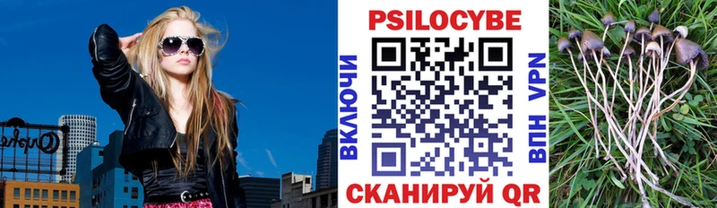 Купить  Кущёвская  Галлюциногенные грибы прущие грибы 